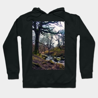 Restless Waters Hoodie